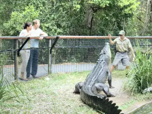 哈特利鱷魚探險公園