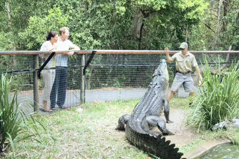 하틀리스 크로커다일 어드밴쳐스