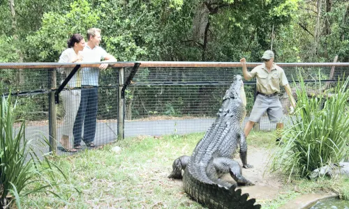 Hartley's Crocodile Adventures