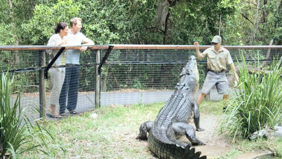 Hartley's Crocodile Adventures