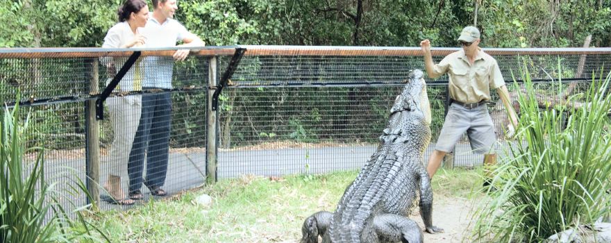 Hartley's Crocodile Adventures