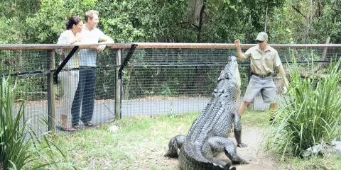 哈特利鱷魚探險公園