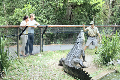 Hartley's Crocodile Adventures