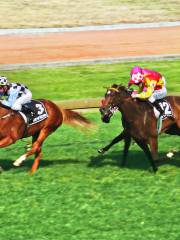 Royal Randwick Racecourse