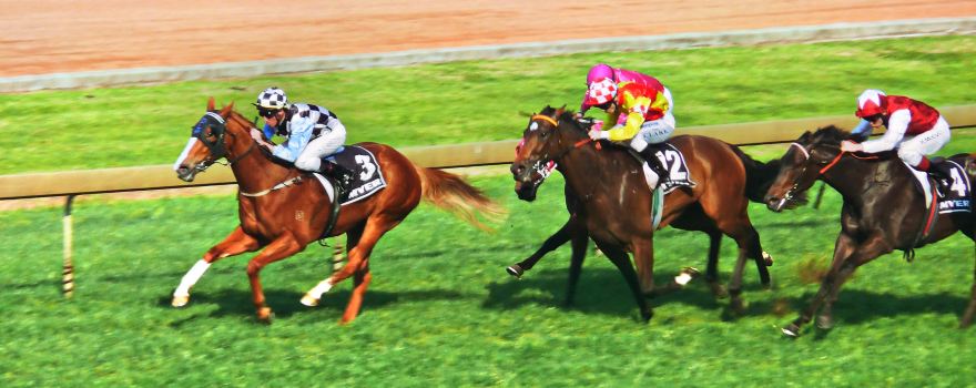 Randwick