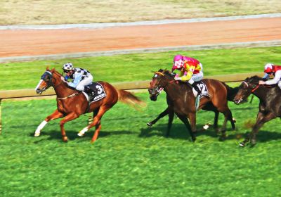 Royal Randwick Racecourse