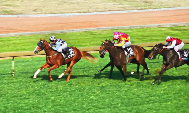 Randwick