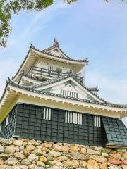 Castillo Hamamatsu