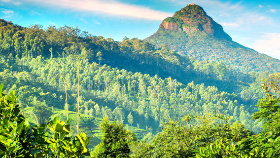 Sri Pada / Adam's Peak