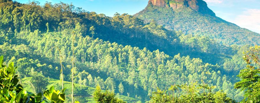 Sri Pada / Adam's Peak