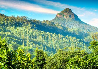 Sri Pada / Adam's Peak