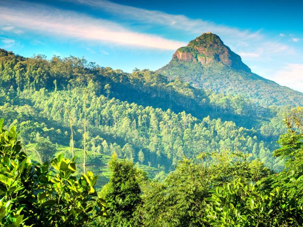 Sri Pada / Adam's Peak