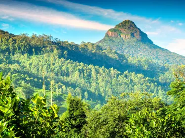Adam's Peak（SriPada）
