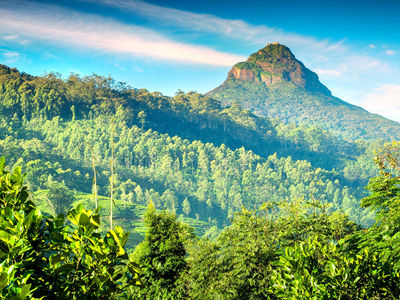 Sri Pada / Adam's Peak