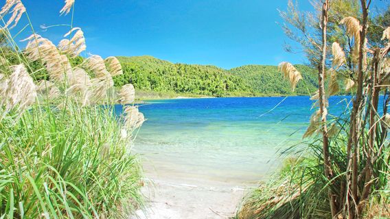Te Urewera