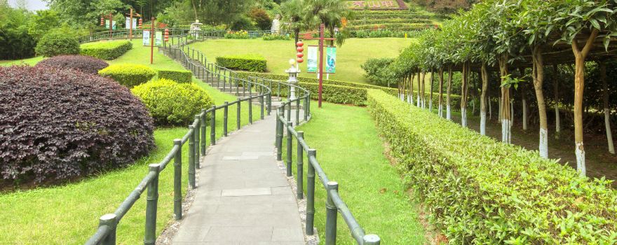 Tianfu Sightseeing Tea Garden