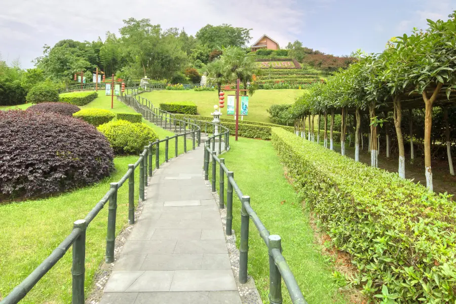 Tianfu Sightseeing Tea Garden