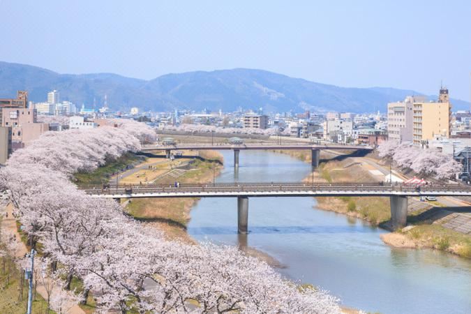 Asuwa-gawa river sakura namiki