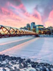 Peace Bridge