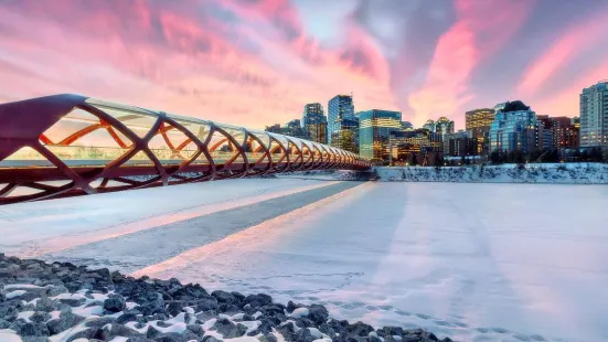 Peace Bridge