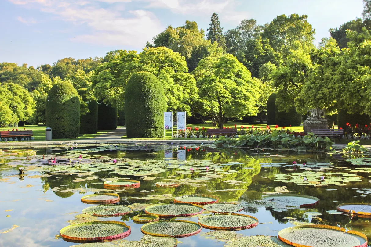 1_Wilhelma - Zoological-botanical garden