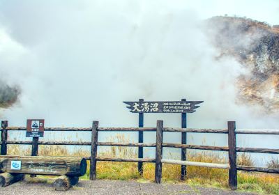 大湯沼川 天然足湯