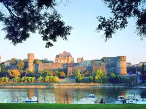 Castillo de Angers