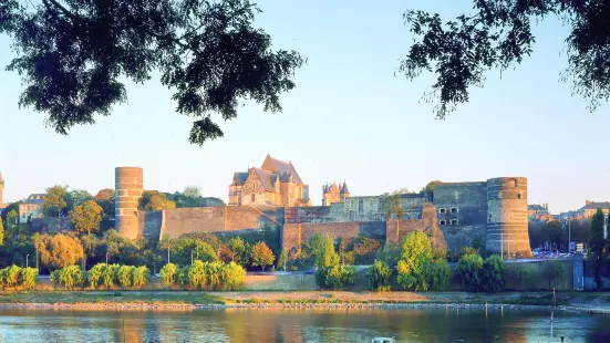 Castle d'Angers