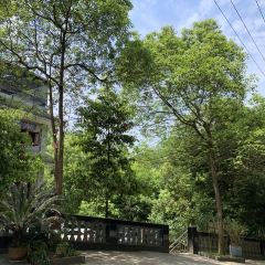 JIN CEN YUAN NONG ZHUANG User Photo