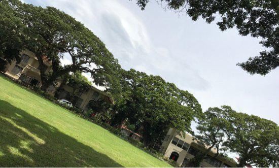Silliman University Anthropology Museum