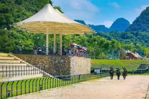Debao Pony Kingdom