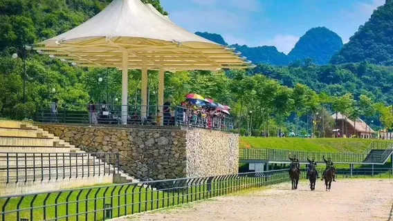 더바오 포니 왕국