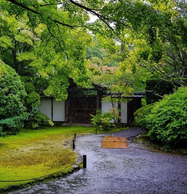 Saihoji Attractions Kyoto Travel Review 1 Juni travel Guide Trip Com
