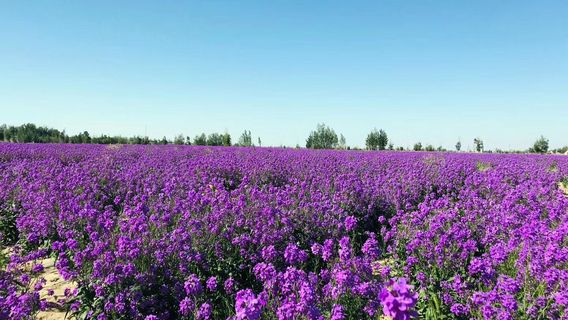 Huaergou Tourist Area