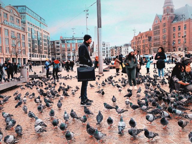 Royal Palace Amsterdam