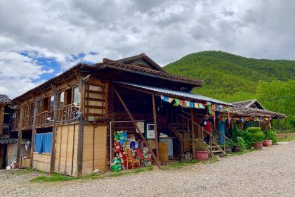 野生菌蒸汽石锅鱼