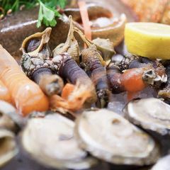 Botafumeiro User Photo