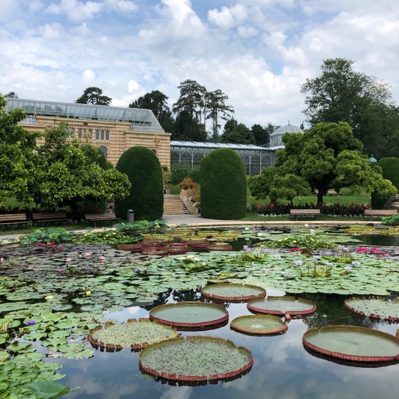 Wilhelma - Zoological-botanical garden Tickets [2026] - Promos