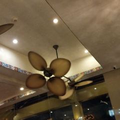Mooon Cafe 여행 사진