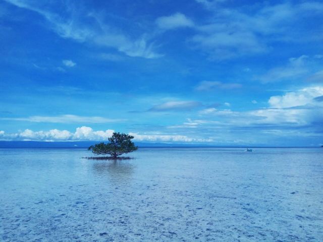Balicasag Island