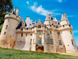 Castle d'Usse