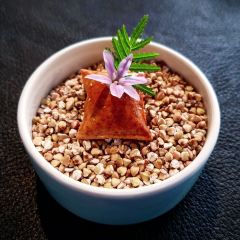 SOIGNÉ User Photo