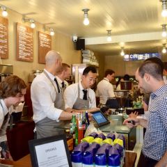 Little Collins User Photo