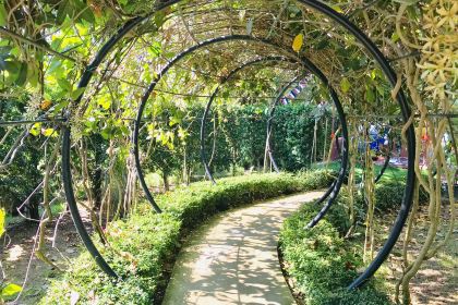 MIFFY'S GARDEN CAFÉ