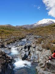 Taranaki Falls