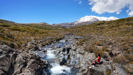 Taranaki Falls