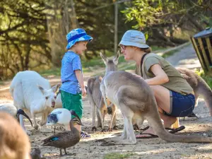 Adelaide Zoo