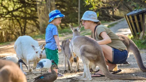 Adelaide Zoo attraction in Adelaide