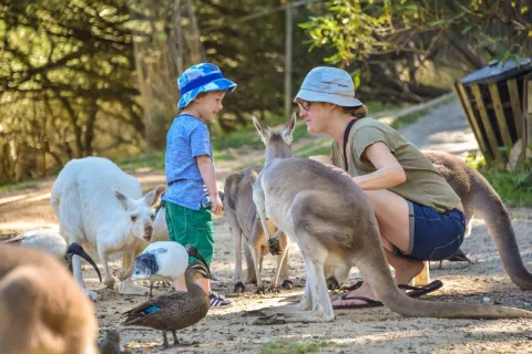 zoo di Adelaïde