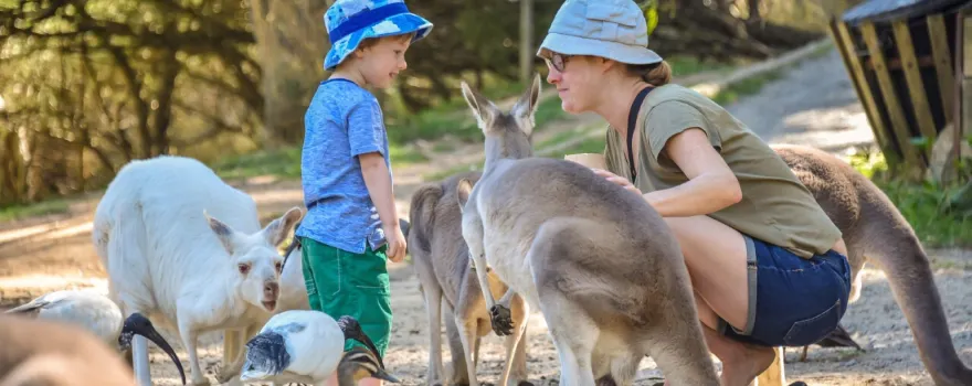 Adelaide Zoo
